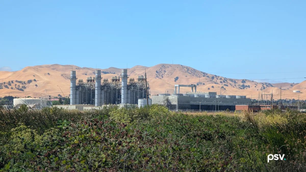 A gas-fired power plant seen across a field of green brambles and reeds, with three tall grey exhaust stacks rising from a block of steel pipework at the left, a long low cooling tower structure at the right, and dry golden hills under a clear blue sky behind.